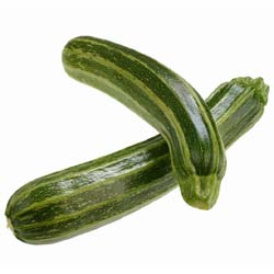 Courgette verte non coureuse d'Italie